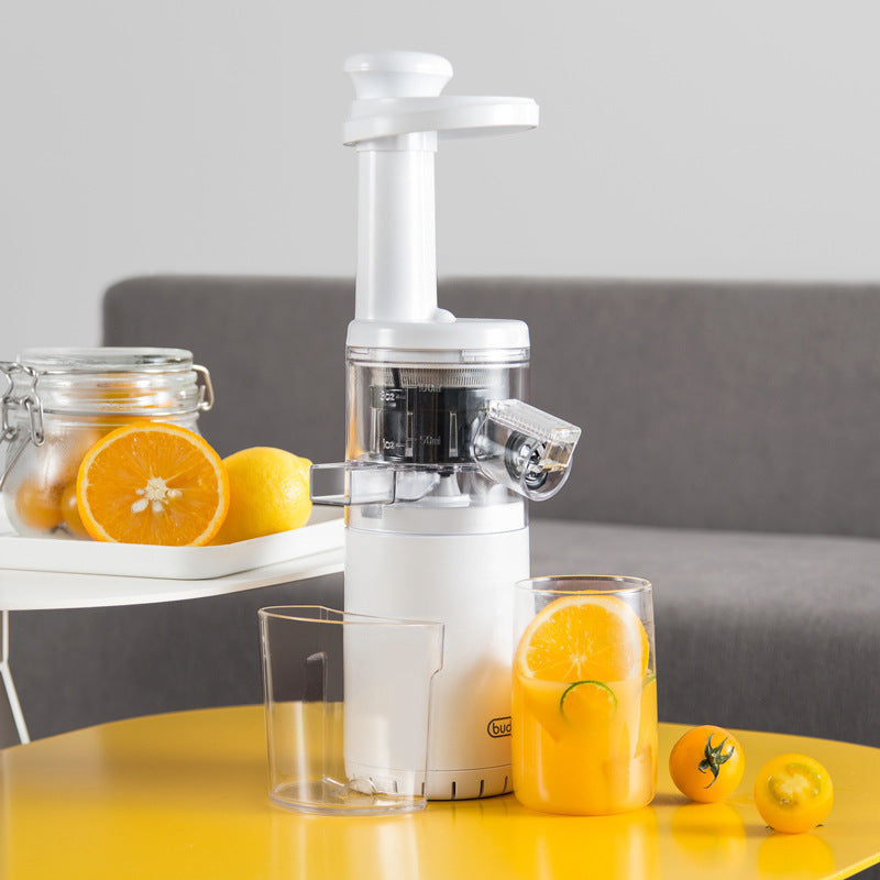 Mini Juicer